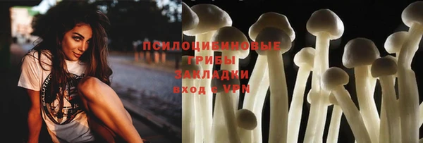 крисы Нефтекумск
