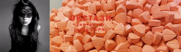 ГАЛЛЮЦИНОГЕННЫЕ ГРИБЫ Каменка