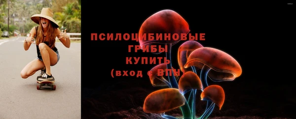крисы Нефтекумск