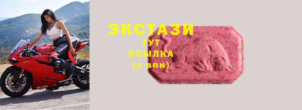 стаф Нефтегорск