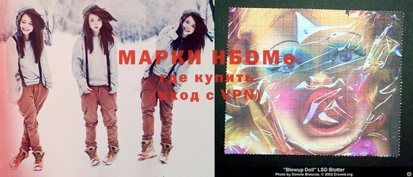 шишки Белая Холуница