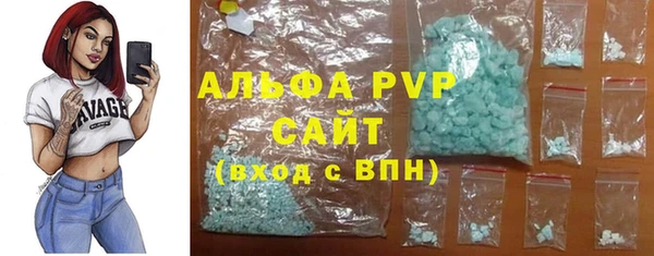 стаф Нефтегорск
