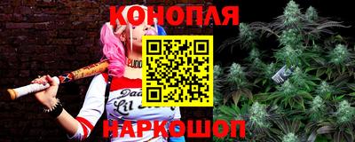 стафф Абакан