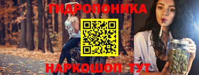 стафф Гагарин
