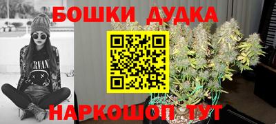 стафф Абакан