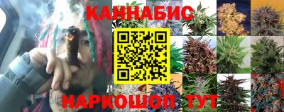 стафф Гагарин