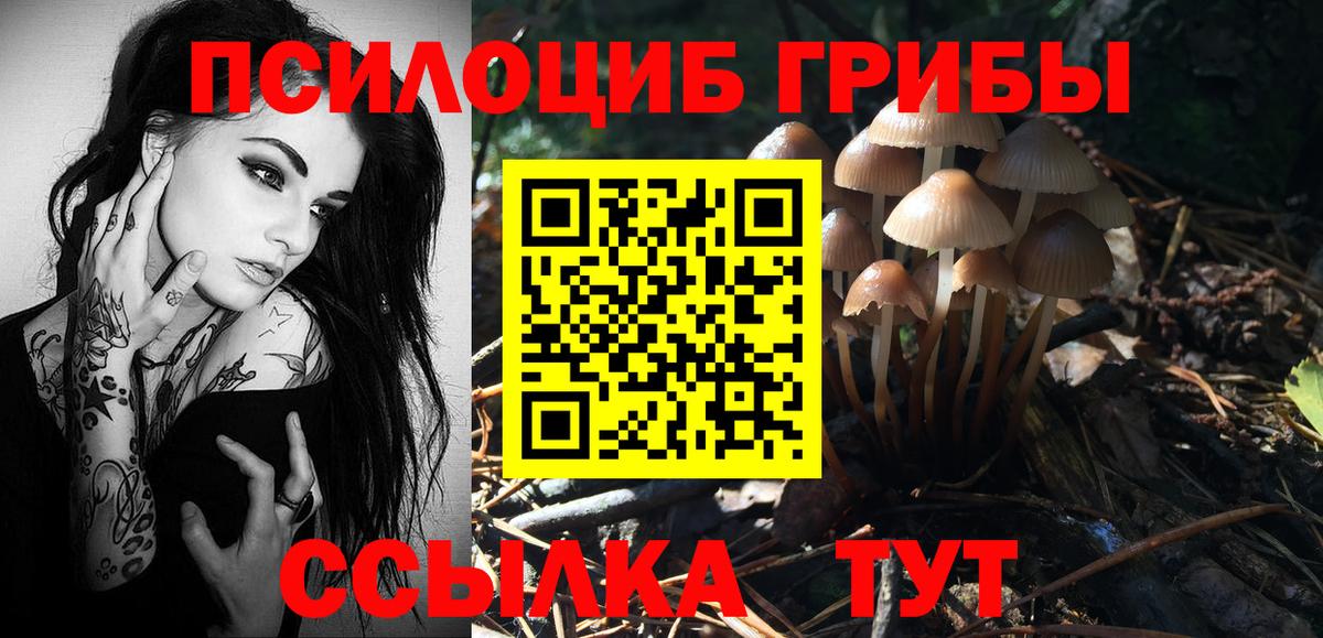 Псилоцибиновые грибы Magic Shrooms Анжеро-Судженск