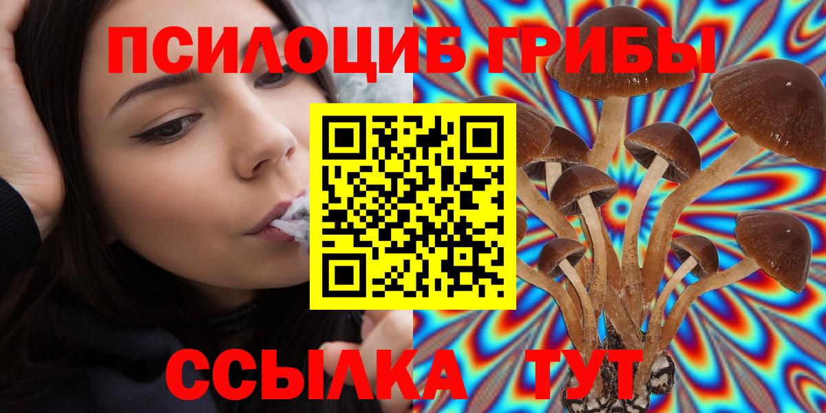 Анжеро-Судженск  закладка  Псилоцибиновые грибы мухоморы  Вход с VPN  Галлюциногенные грибы Magic Shrooms 