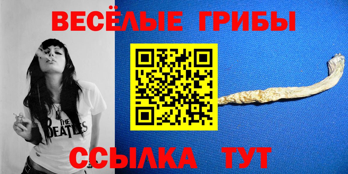 Псилоцибиновые грибы Psilocybine cubensis  купить закладку  Анжеро-Судженск  Вход с VPN 