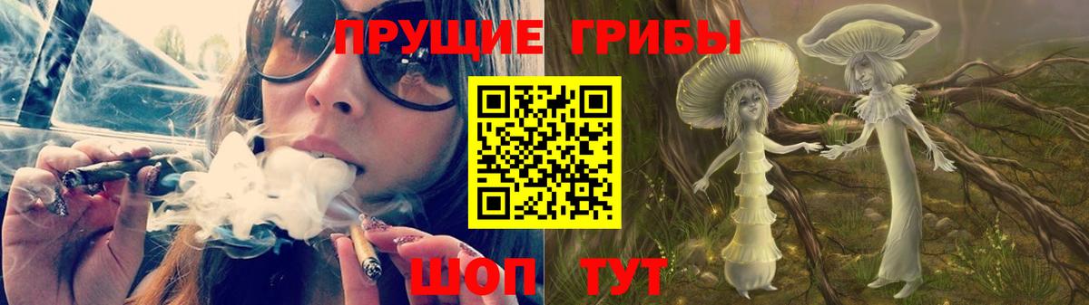 Псилоцибиновые грибы Cubensis  Анжеро-Судженск 