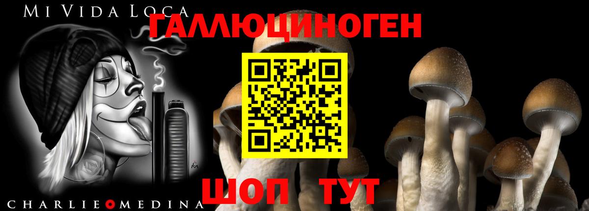 Галлюциногенные грибы Cubensis Анжеро-Судженск